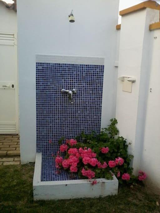 El Magnolio Villa Chiclana de la Frontera Dış mekan fotoğraf