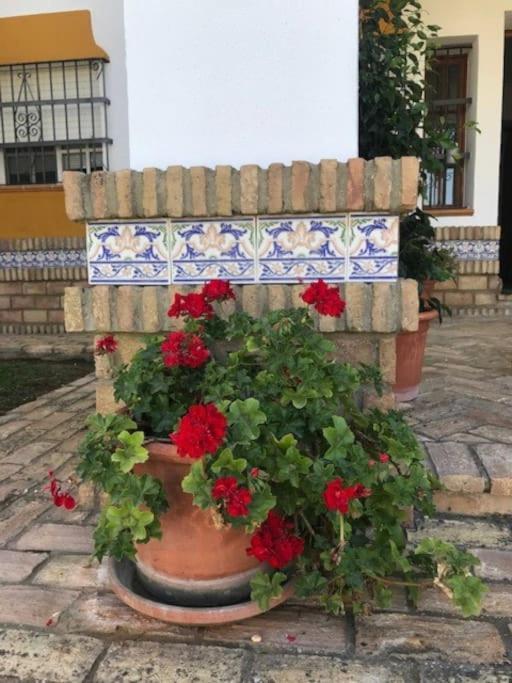 El Magnolio Villa Chiclana de la Frontera Dış mekan fotoğraf
